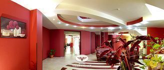 Hotel Villa Palace 0